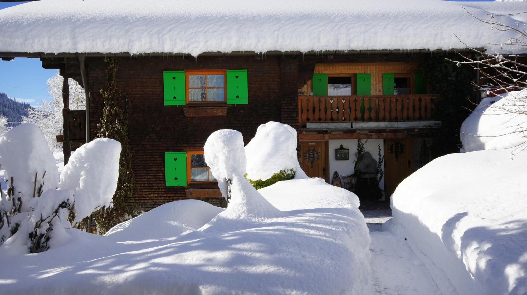 Haus Aelpele Apartment Klosterle am Arlberg Exterior photo